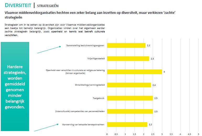 diversiteit-strategieën